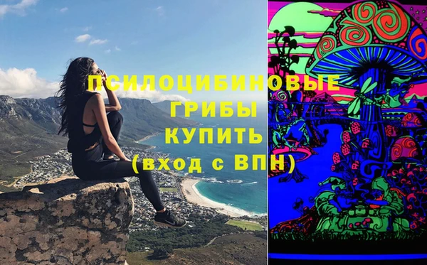 эйфоретик Баксан