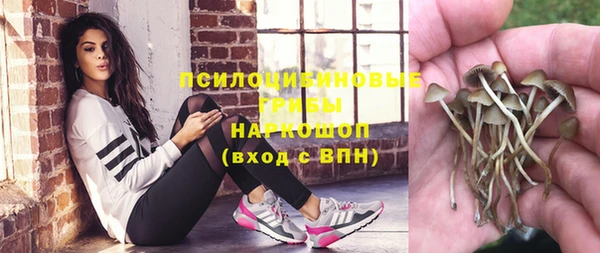 МДПВ Балахна