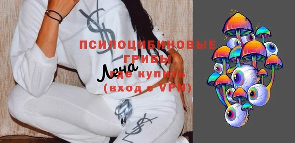 эйфоретик Баксан