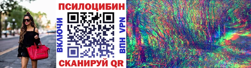 Галлюциногенные грибы Psilocybe Липки