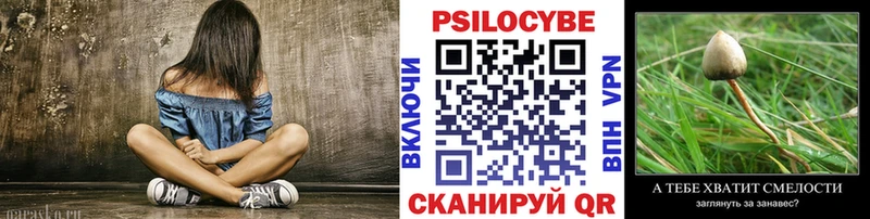 Псилоцибиновые грибы Psilocybine cubensis Липки